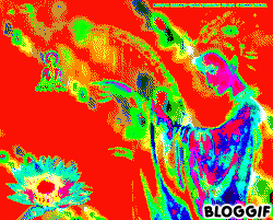 bloggif_50afad8474853