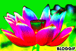 bloggif_50afae6ed9f14