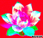 bloggif_50afaf63f2c52