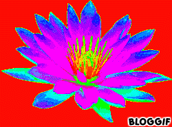 bloggif_50afaf906e15c