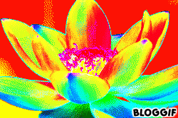 bloggif_50afb024ca4ab