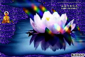 bloggif_50cca29a63259