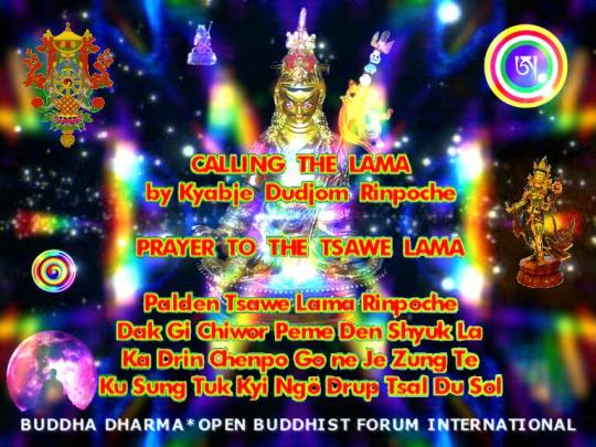 BUDDHA DHARMA-OBF INTERNATIONAL