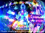 MEDICINE BUDDHA BLESSINGS
