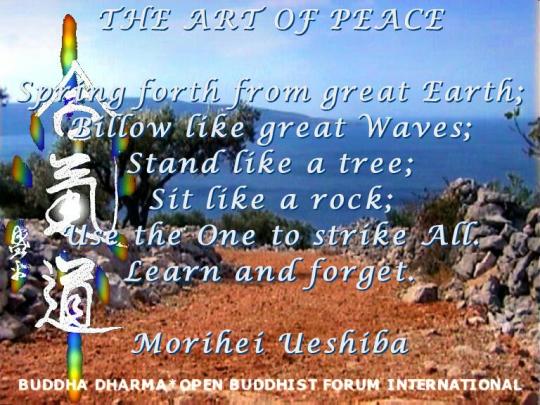 The Art of Peace AI KI DO Martial Arts