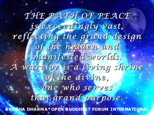 The Art of Peace AIKIDO Martial Arts