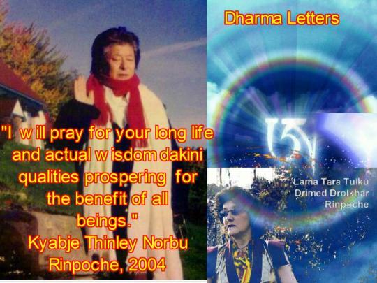 Dharma Letters