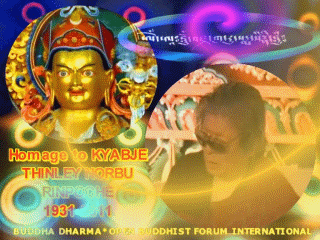 KYABJE THINLEY NORBU RINPOCHE