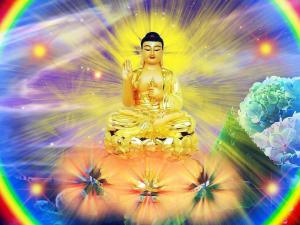 313933_449247161776343_1273898207_n