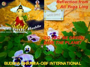 Happy Little Buddha reflection from Ati Yoga Ling