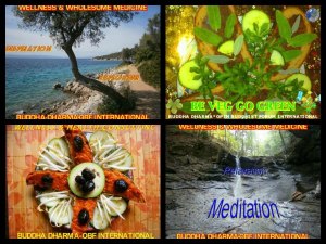 387078_3859878488449_178210478_n