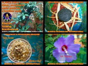 542549_3859860247993_1811845633_n