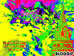 bloggif_5169b560bb1ac