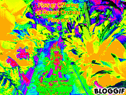 bloggif_5169b5c362847