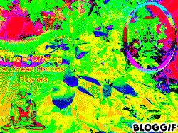 bloggif_5169b6710b9e9