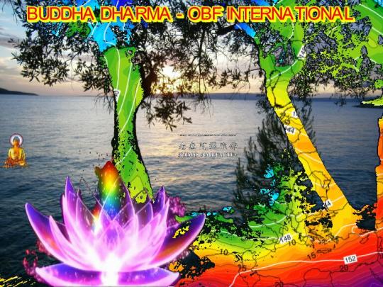 Simple and natural blessings 6