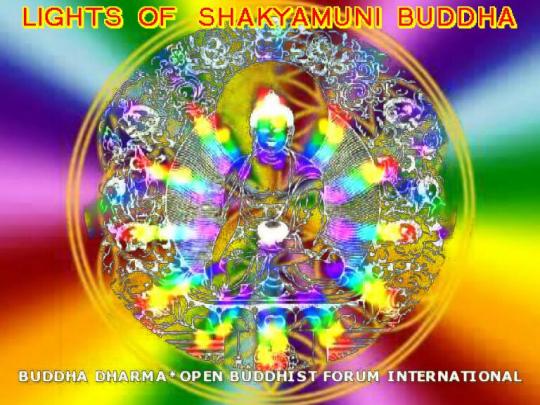 LIGHTS OF SHAKYAMUNI BUDDHA
