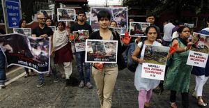 India-Nepal-Protest-against-Animal-Sacrifice