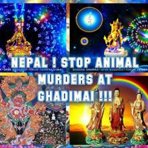 Nepal stop animal sacrifice