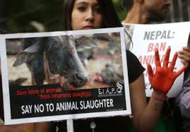 protests against gadhimai