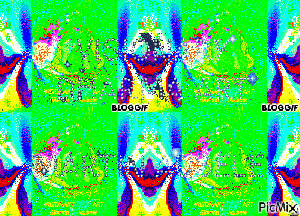 picmix.com_3138046(1)