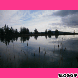 bloggif_548353779cc21