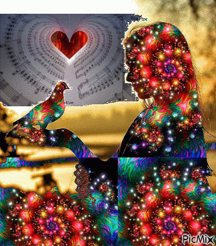 BUDDHA DHARMA - OBF INTERNATIONAL 