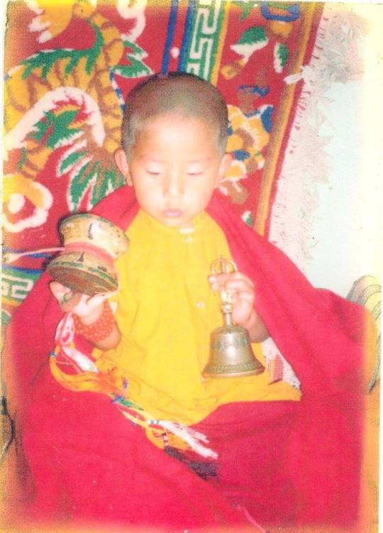 12179335_1705164829704012_2105890418_n