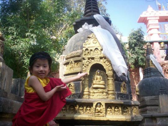 526498_351965438183248_577032664_n