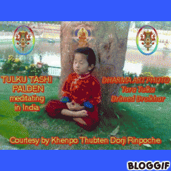 Tashi, Martin &amp; Tara wondrous Dharma Art