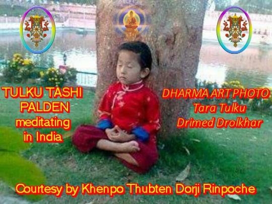 TULKU TASHI PALDEN meditating in India
