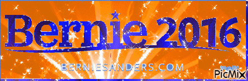 BERNIE 2016 13