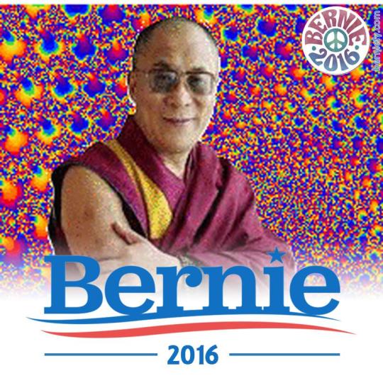 BERNIE 2016  profile