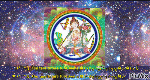 Tara White in the univers