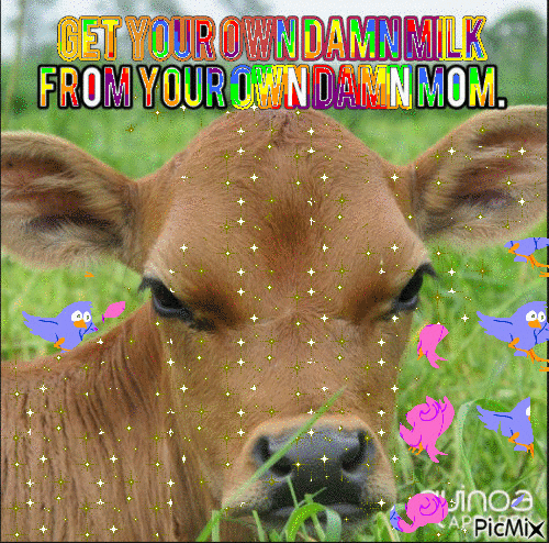 picmix.com_8510921 Vegan Humor 3 May 2019